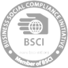 bsci logo